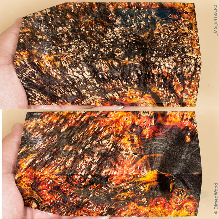 Stabilized wood box elder burl block