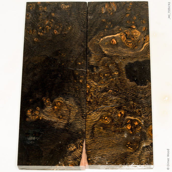 Stabilized wood oak burl scales