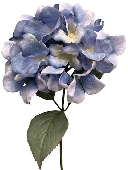 17.5' Hydrangea Bush ( TY3795-LTBLPU )