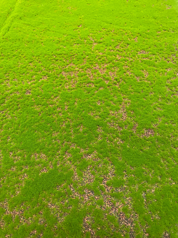 39.37''x39.37'' Moss Sheet ( YM-CP005-Green )