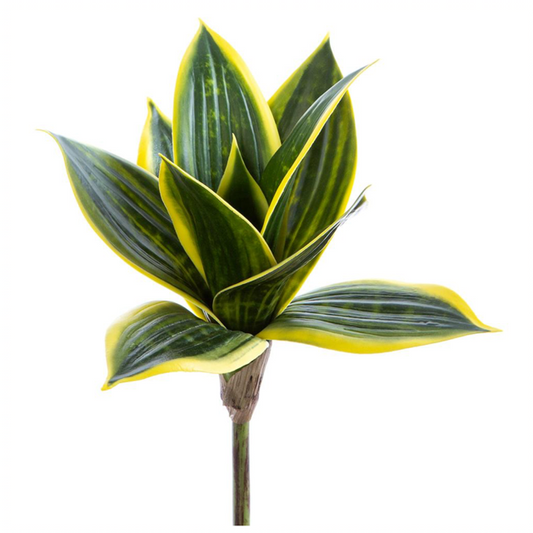 9" Mini Sansevieria Plant ( CA0309-GR/CR )