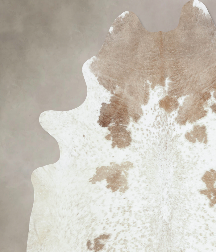 Brown and White Regular Cowhide Rug #B9276