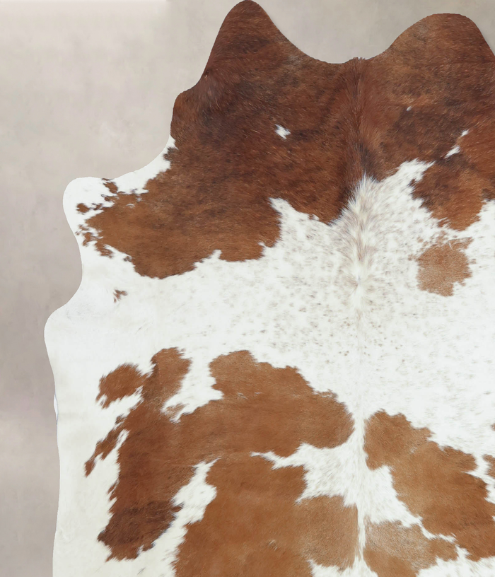 Brown and White Cowhide Rug #B9387