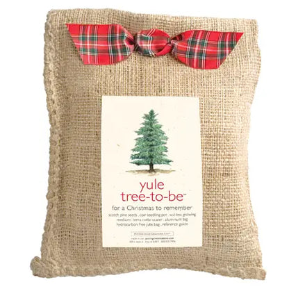 Christmas Yule Tree to Be