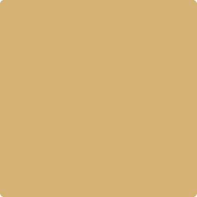 Shop the paint color 2153-40 Cork by Benjamin Moore at Anderson Paint Company in Ann Arbor, Michigan.