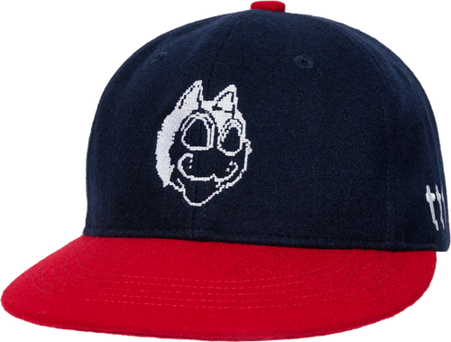 DIGICAT WOOL BALL CAP NAVY/ RED