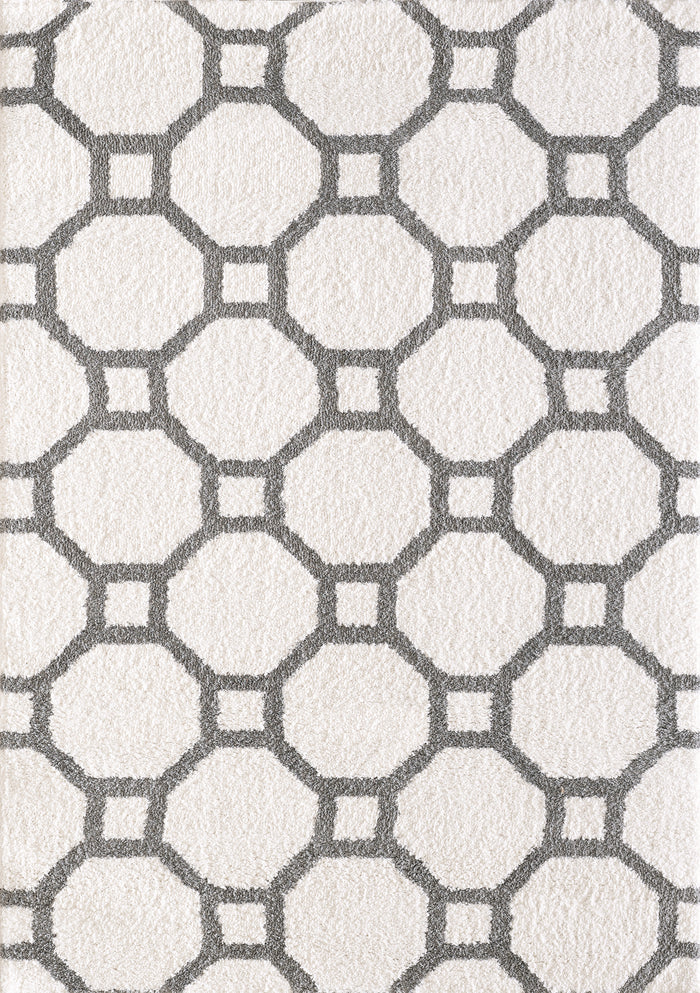 Dynamic Rugs SILKY SHAG 5903-119 White Rug