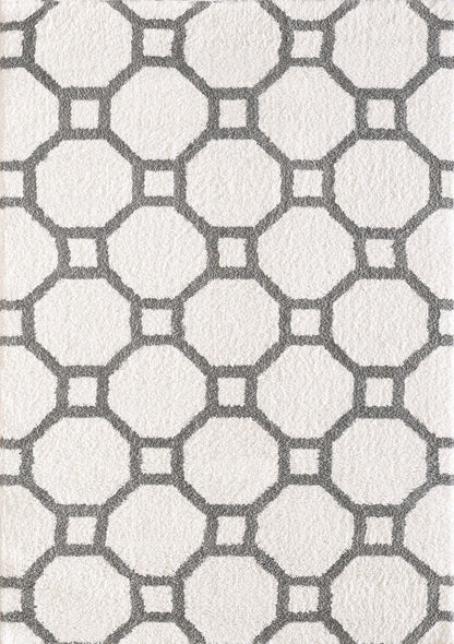Dynamic Rugs SILKY SHAG 5903-119 White Rug