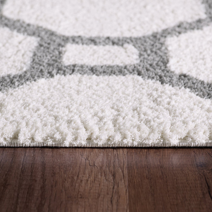 Dynamic Rugs SILKY SHAG 5903-119 White Rug