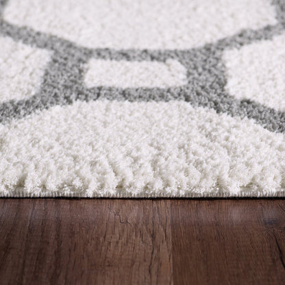 Dynamic Rugs SILKY SHAG 5903-119 White Rug