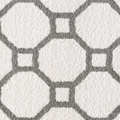 Dynamic Rugs SILKY SHAG 5903-119 White Rug