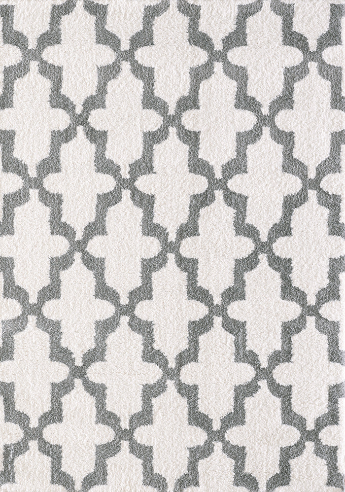 Dynamic Rugs SILKY SHAG 5906-110 White Rug