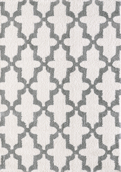 Dynamic Rugs SILKY SHAG 5906-110 White Rug