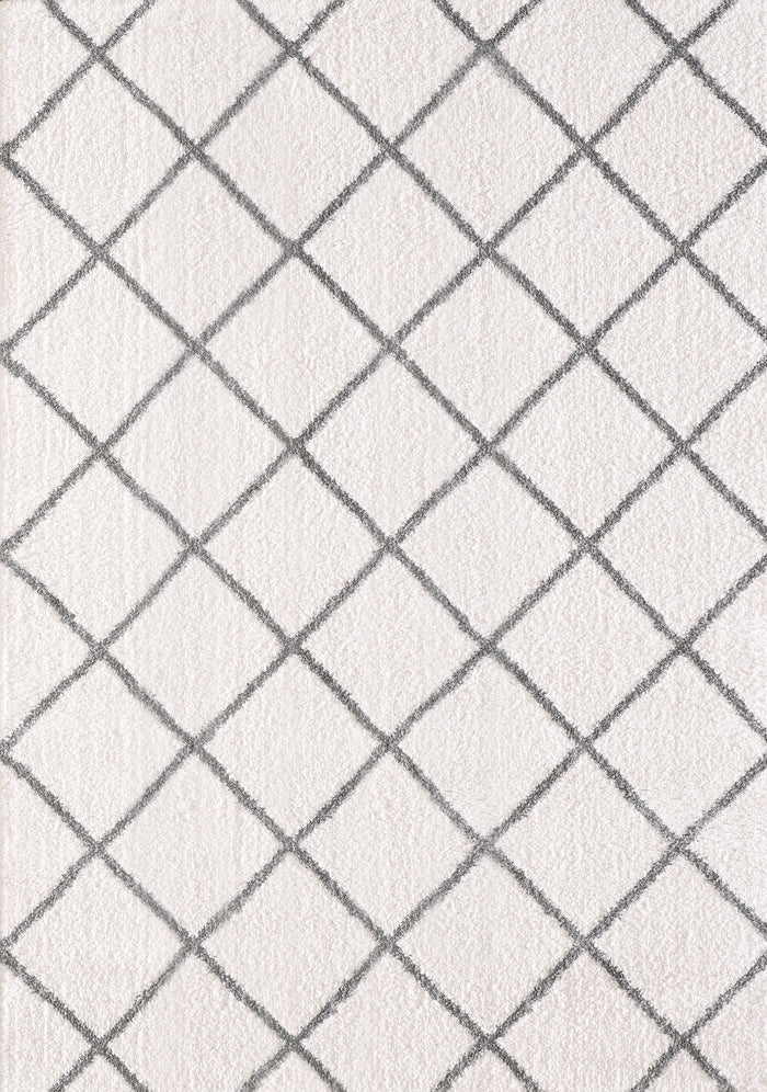 Dynamic Rugs SILKY SHAG 5920-110 Ivory Rug