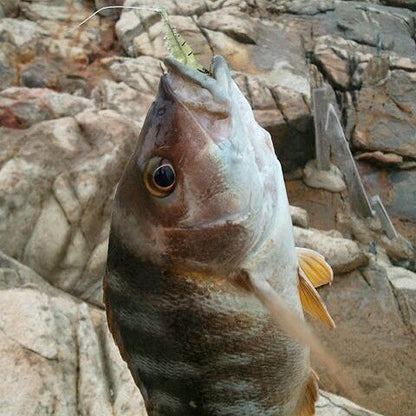 Fishy Smell Soft Prawn Shrimp Fishing Lure Bass Fishing - GhillieSuitShop