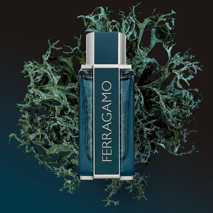 Fragancias Ferragamo Pour Homme