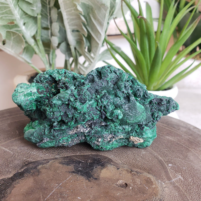 Malachite Specimen 3.5" x 2"