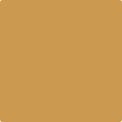 Shop the paint color 2160-30 Maple Sugar by Benjamin Moore at Anderson Paint Company in Ann Arbor, Michigan.