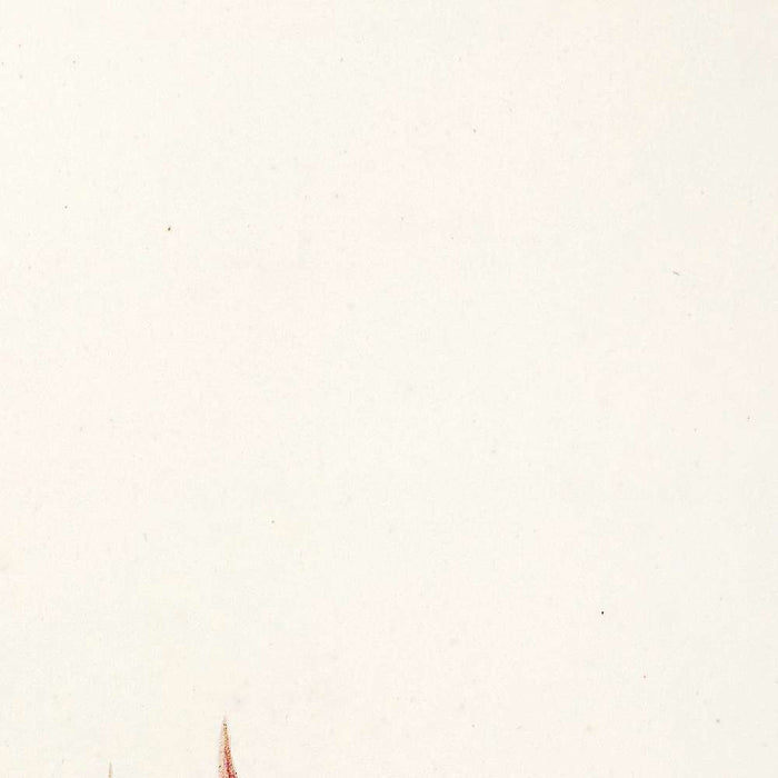 Metrosideros saligna (Plate 4) by Pierre Joseph Redouté, 1813