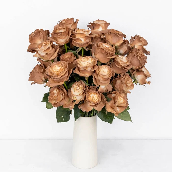 Mocha Brown Tinted Roses Vase - Image