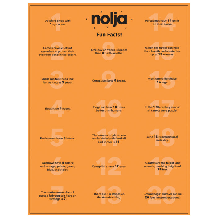 The “Nolja Easy As 1,2,3 36pc Jigsaw Puzzle” by Nolja features animal and general fun facts with bold numbers, arranged jigsaw-style around a vivid orange border—ideal for early counting skills and playful learning.