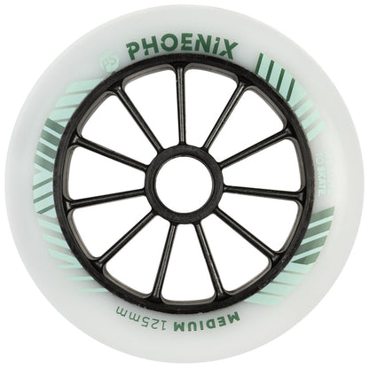 PHOENIX 125mm DD Medium 6-pack