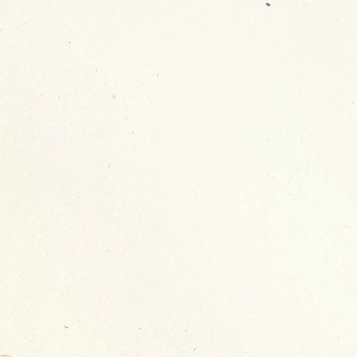 Rose (Rosa nivea) by Pierre Joseph Redouté, 1817