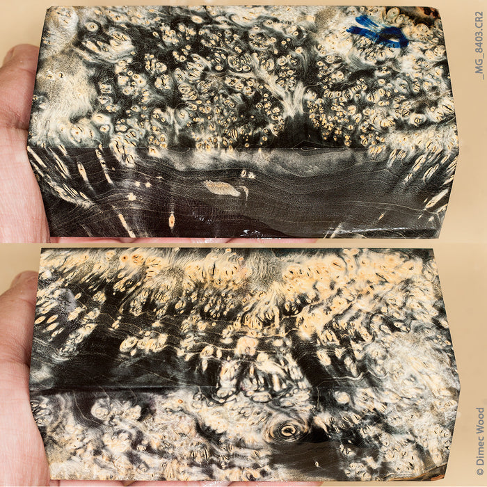 Stabilized wood box elder burl block