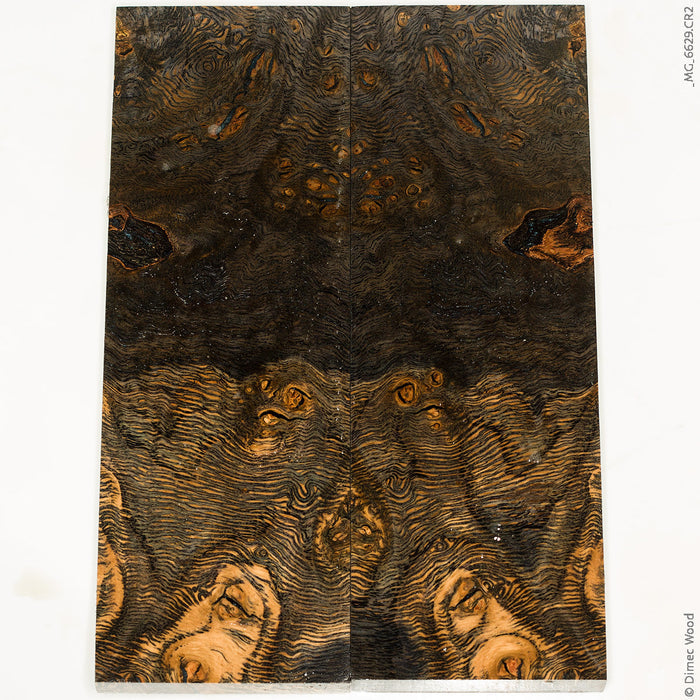 Stabilized wood oak burl panels