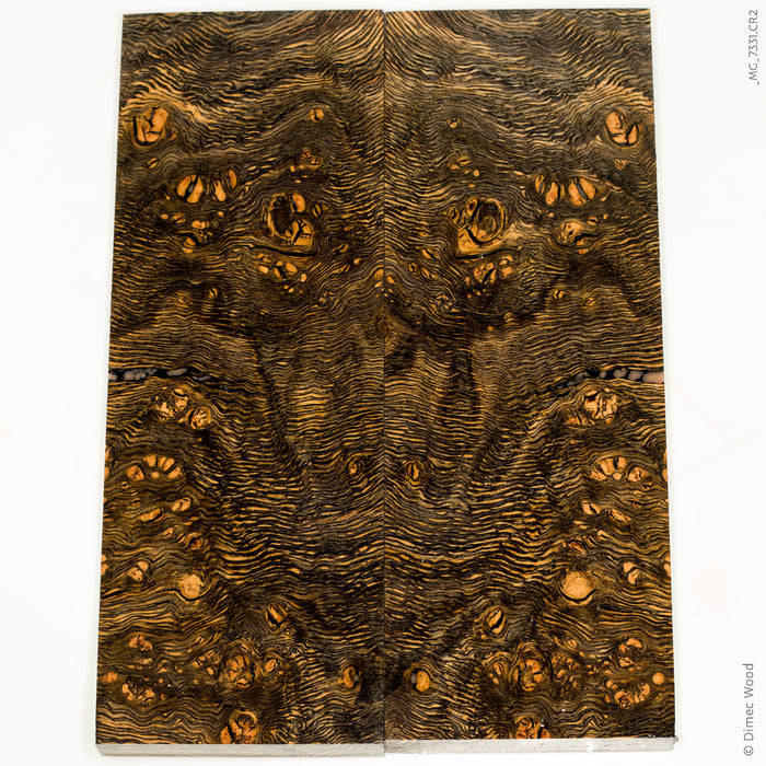 Stabilized wood oak burl scales