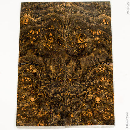 Stabilized wood oak burl scales