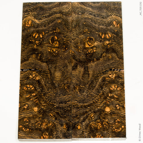 Stabilized wood oak burl scales