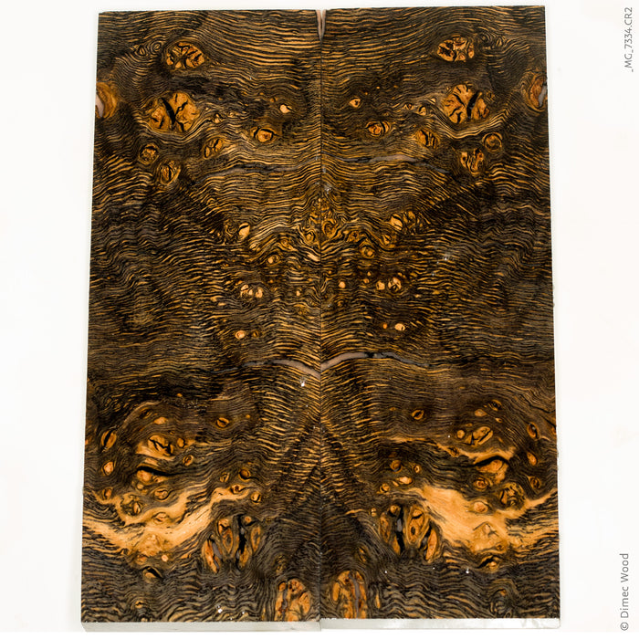 Stabilized wood oak burl scales