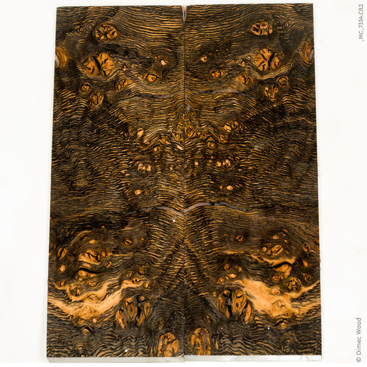 Stabilized wood oak burl scales
