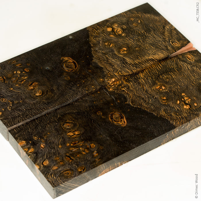 Stabilized wood oak burl scales