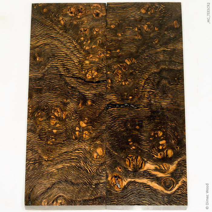 Stabilized wood oak burl scales