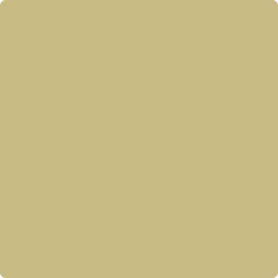 Shop the paint color 2149-40 Timothy Straw by Benjamin Moore at Anderson Paint Company in Ann Arbor, Michigan.