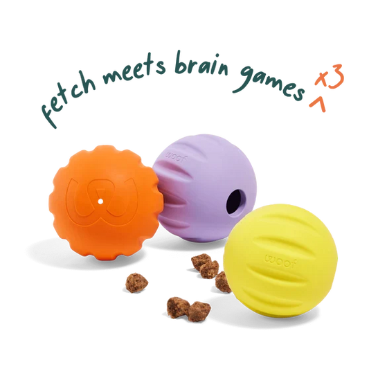 Woof Flyball 2-in-1 Fetch Ball Puzzle Dog Toy