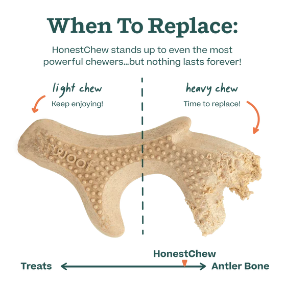 Woof Honest Chew Dog Toy