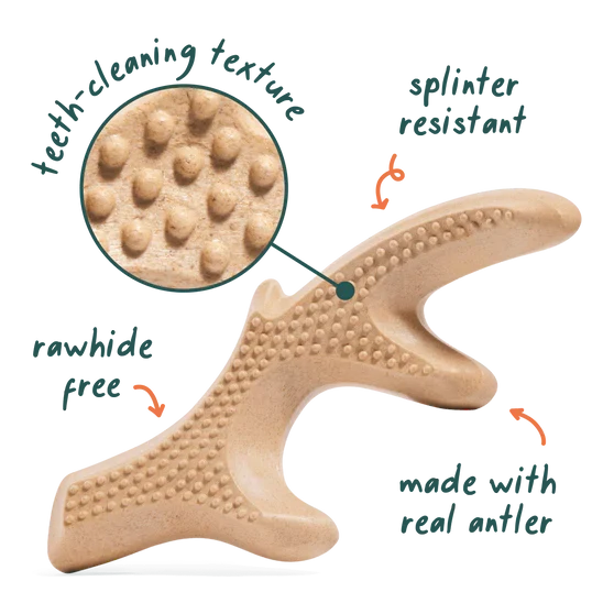 Woof Honest Chew Dog Toy