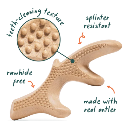 Woof Honest Chew Dog Toy