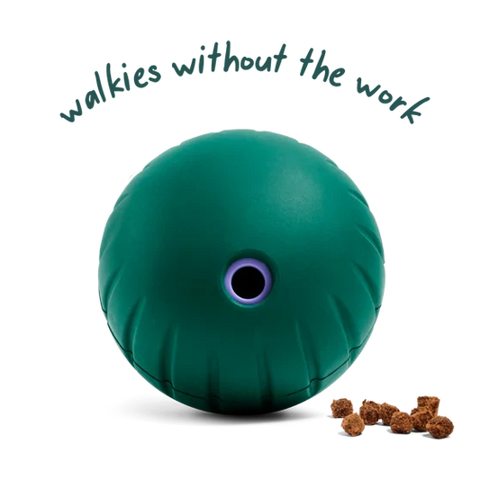 Woof Walkabout Slow Feeder Treat Puzzle Dog Toy