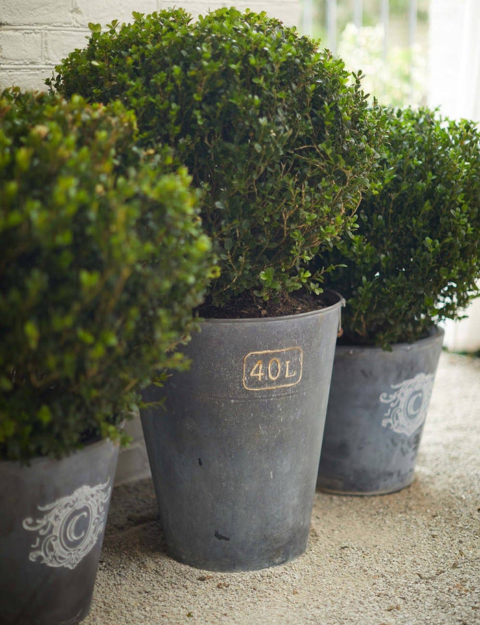 Zinc Antiquing Solution